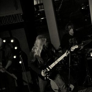 Meet your Posher, Sandy